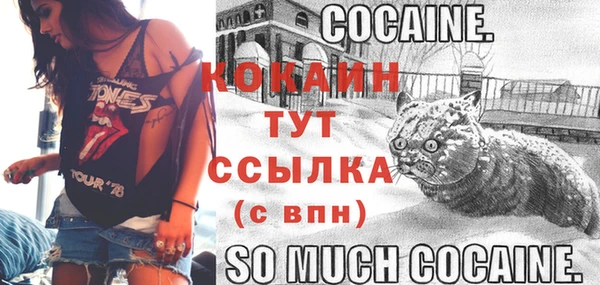 соль курить ск Кукмор