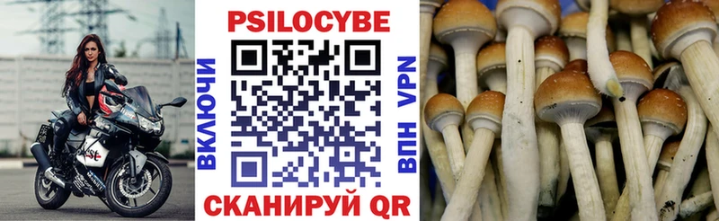 Галлюциногенные грибы мицелий  Купить закладки  Льгов 